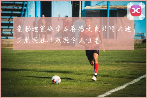 霍勒迪重返季后赛感受良好阿夫迪亚展现独特表现令人惊喜